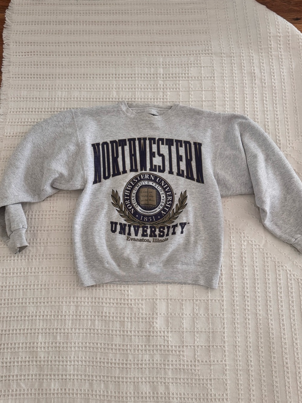 Vintage Northwestern University Pull Over